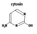 cytosin cytosin