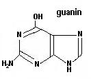 guanin guanin