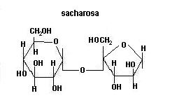 sacharóza sacharosa