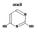 uracil uracil